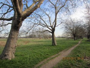 Transfer from Forest Gate to Stansted