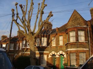 Shuttle Transfer from Walthamstow to Stansted Airport